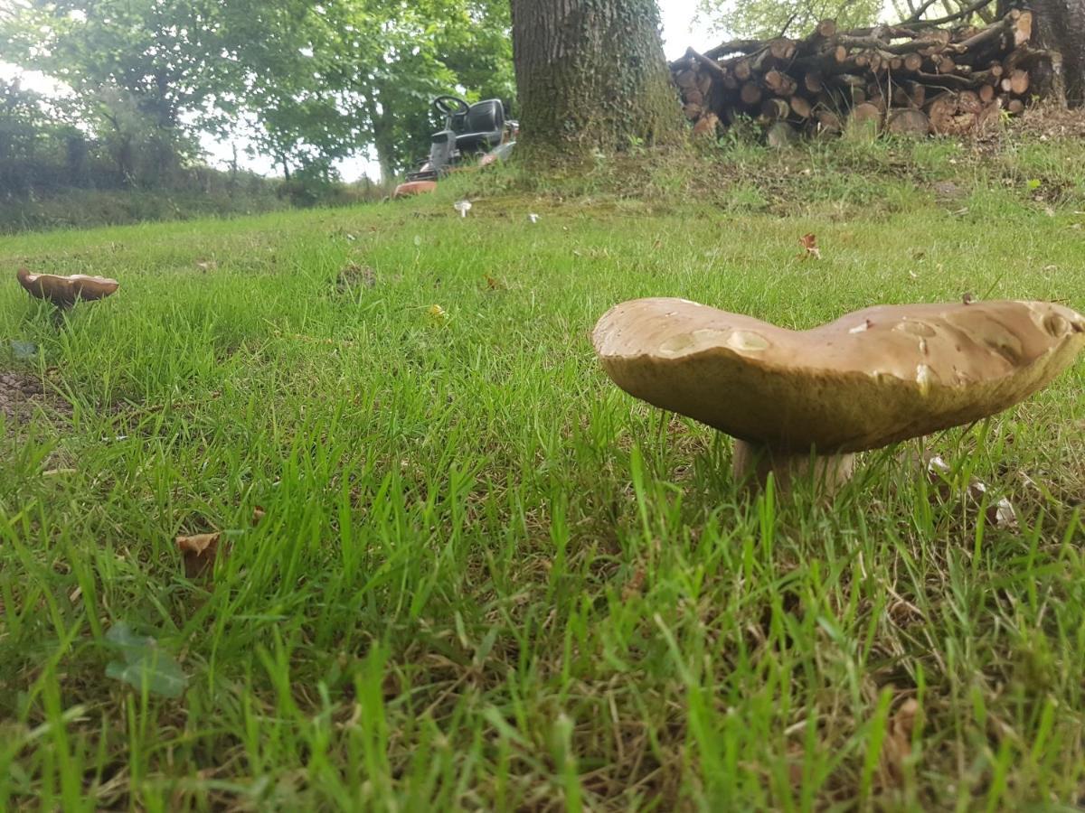 Camping De La Chagnee Saint-Aubin-le-Cloud Bagian luar foto