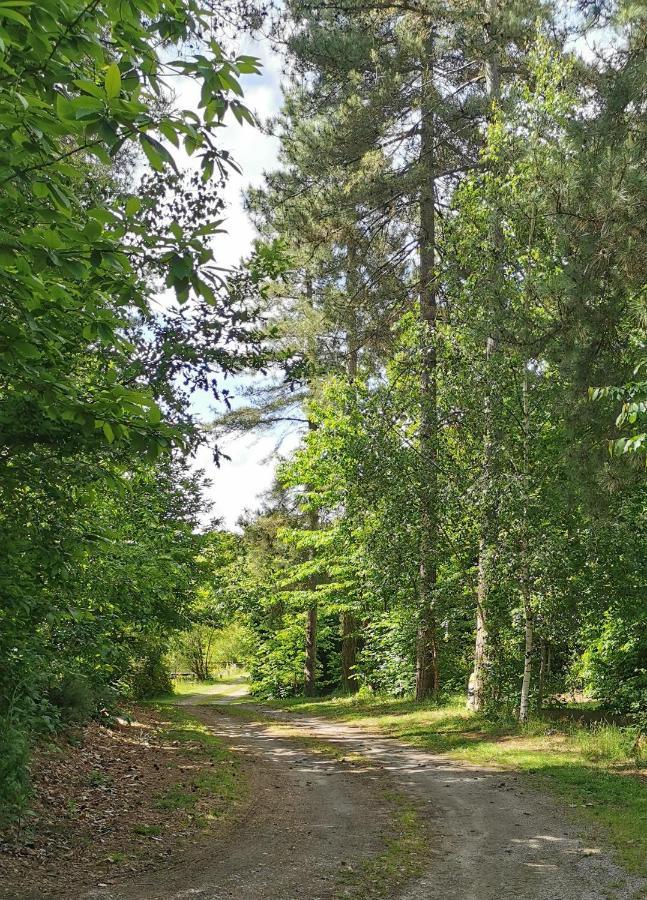 Camping De La Chagnee Saint-Aubin-le-Cloud Bagian luar foto