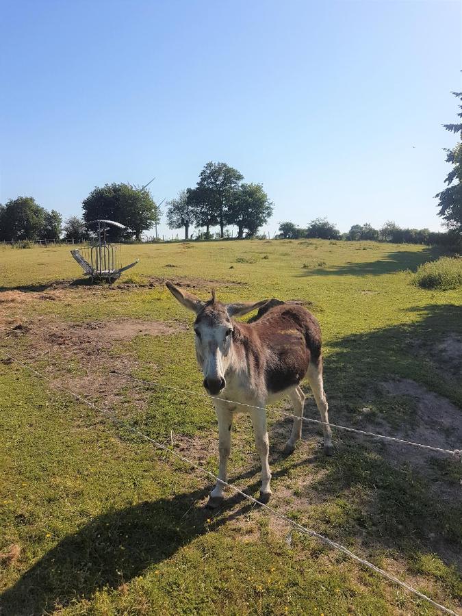 Camping De La Chagnee Saint-Aubin-le-Cloud Bagian luar foto